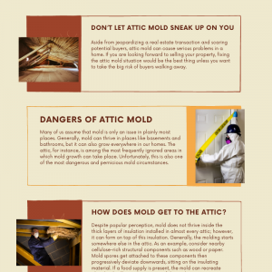 WHAT HAPPENS IF YOU DON’T TREAT BLACK MOLD GROWTH IN YOUR ATTIC